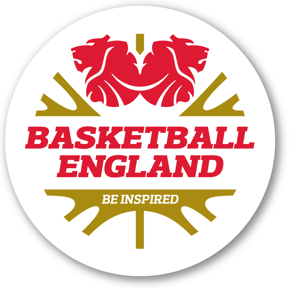 England 2014-Pres Primary Logo iron on heat transfer